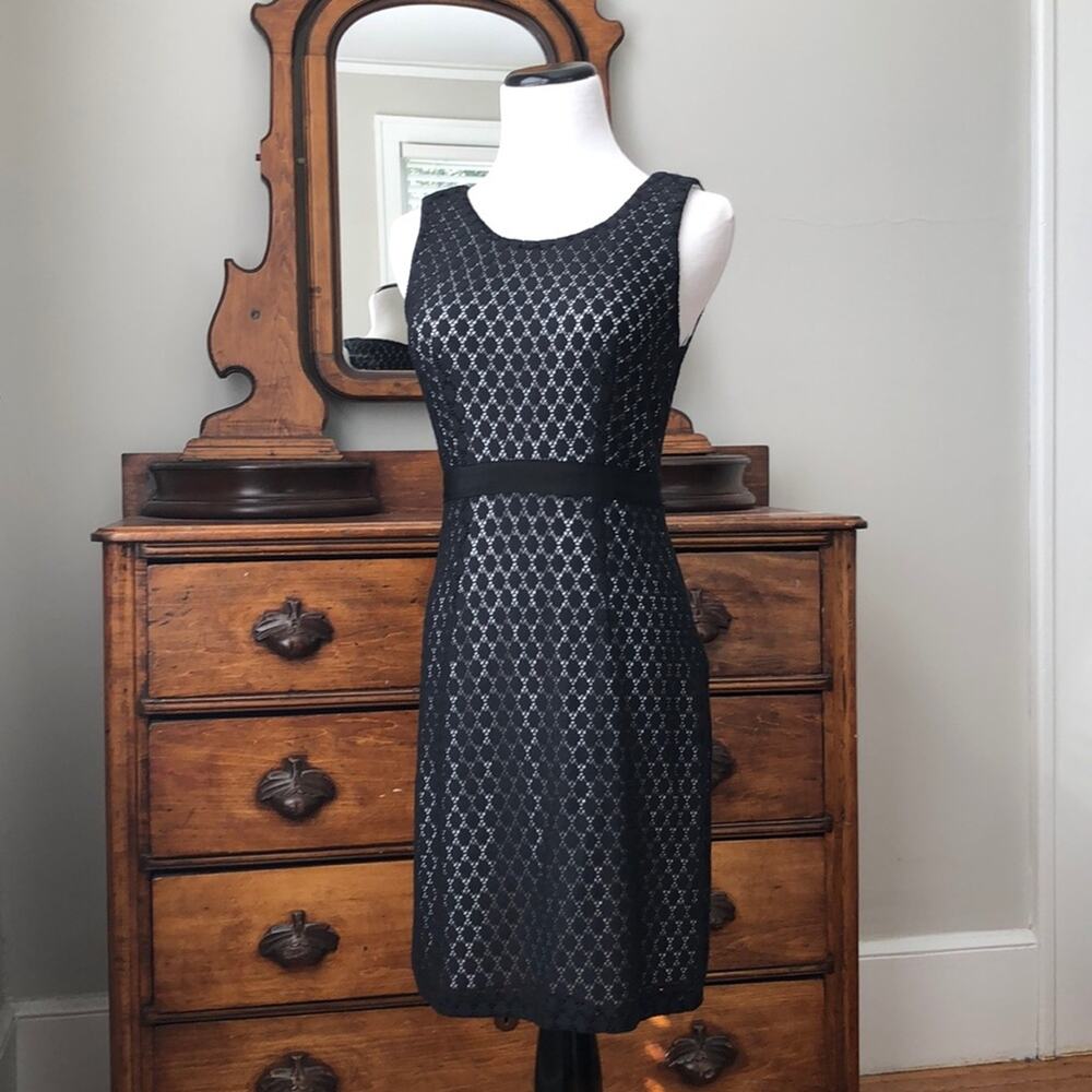 The Limited Black Lace on White Dress, Size 0